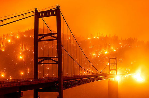 Boere Christen Unie - News