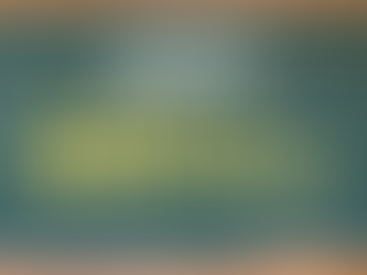 木の家を買って健康被害に遭わない基礎知識【愛媛松山の新築注文住宅】