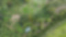 DJI_0781-FARMCenter.jpg