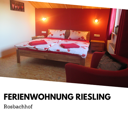 Pfirsichfarben Pinselstrich Fotografie Logo (2).png