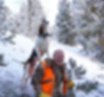 Rack & Reel Montana: Montana Hunting & Fishing Outfitter