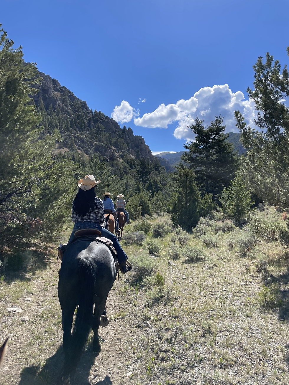 Rack & Reel Montana: Montana Hunting & Fishing Outfitter