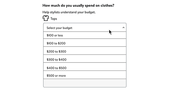 NS Budget Mockup2.png