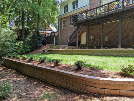 Why You Need a Professional Landscape Consultation Today