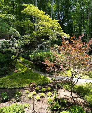 DJI_0384.JPG