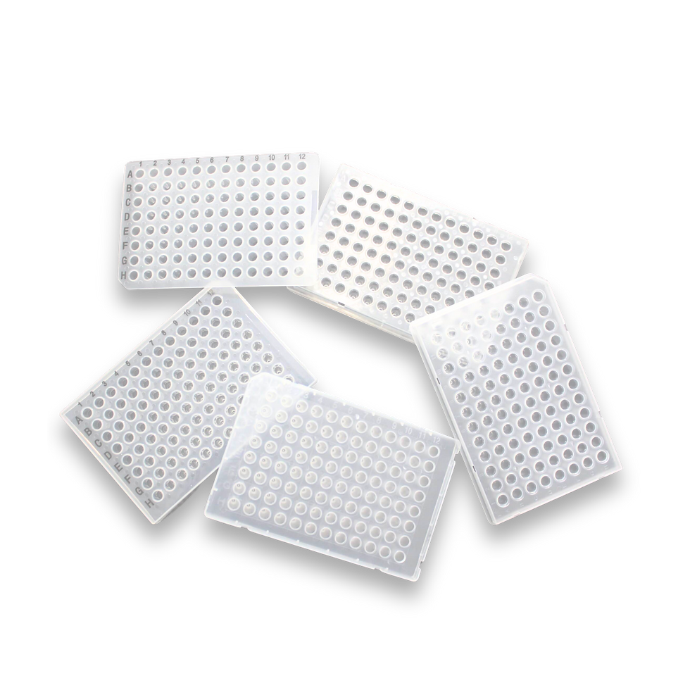 Indice PCR (1).png