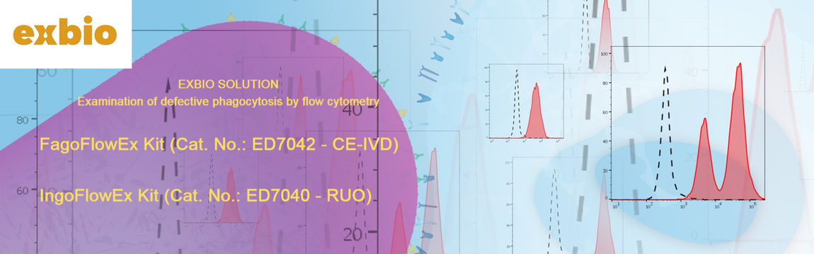 banner per sito_edited_edited_edited.jpg