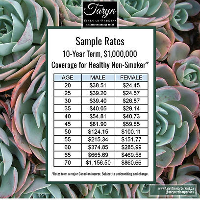 Copy of Untitled (Instagram Post).jpg