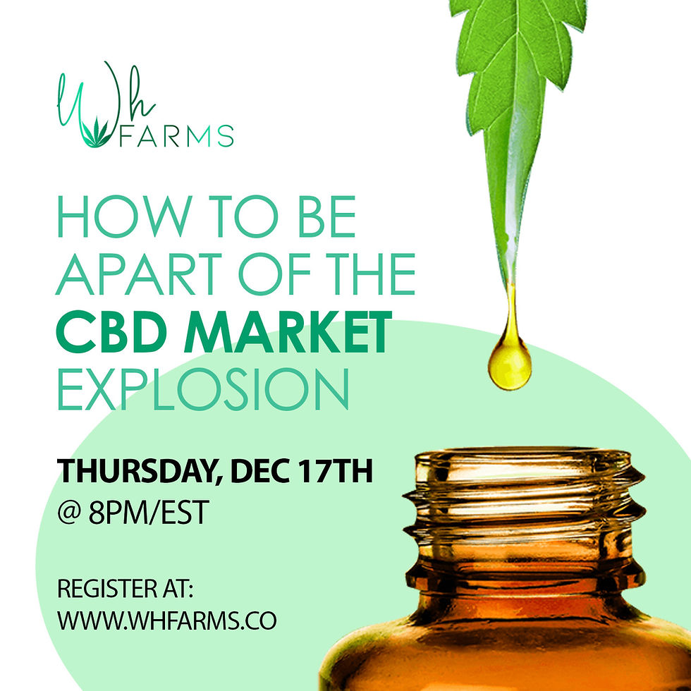 How To Be Positioned to Take Part in the CBD Market