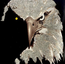 Bermano Eagle 40 x 30 Inches Acrylic on canvas