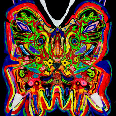 Bermano Lion Fly 7 x 5 Feet Acrylic on canvas