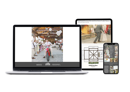 weddingvenue_mock copy.png