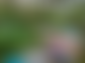 Abhyasa: The Practice of Returning Again and Again