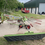Thumbnail: Claas liner 450