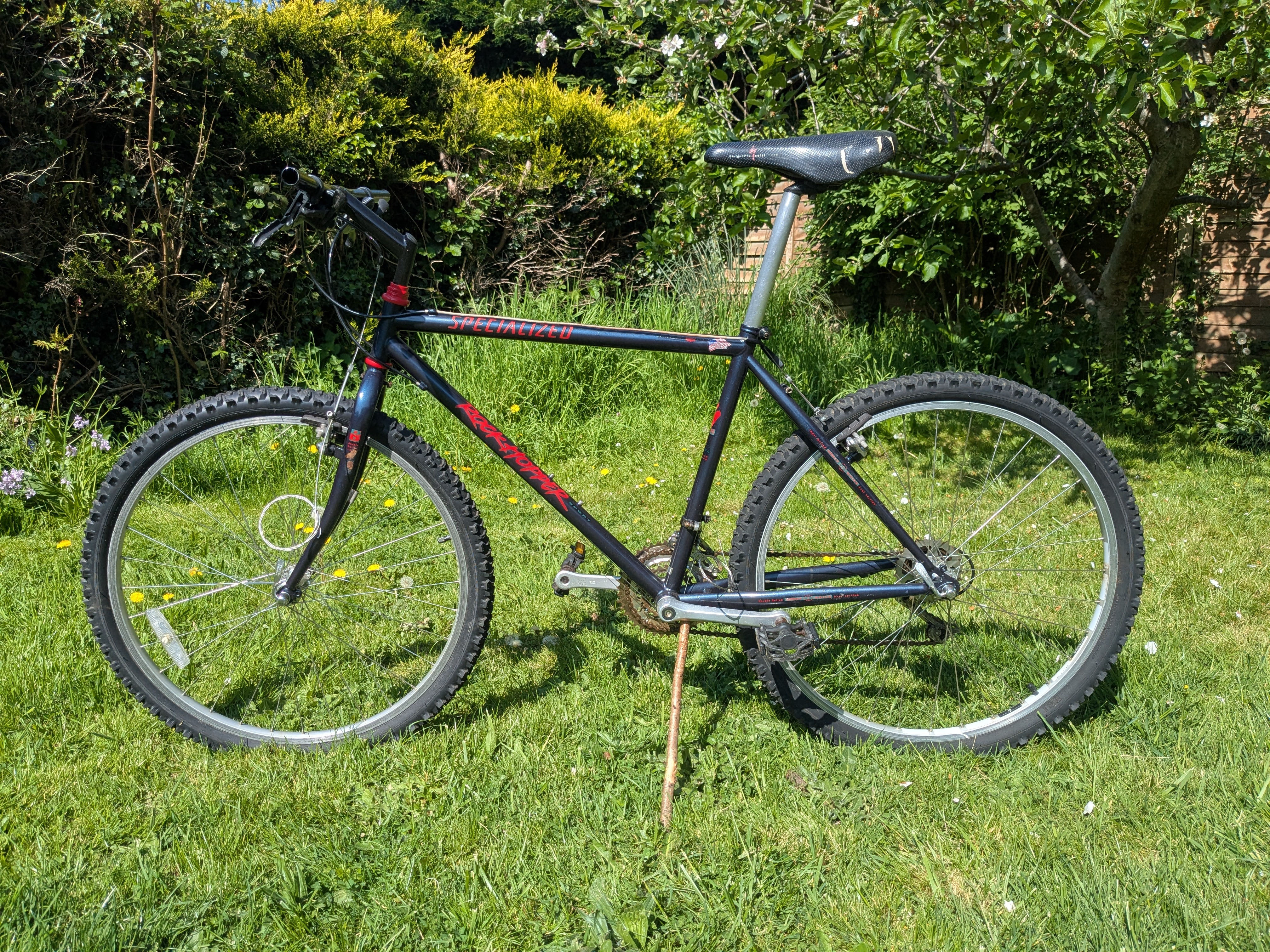 Specialized Rockhopper Navy 18"