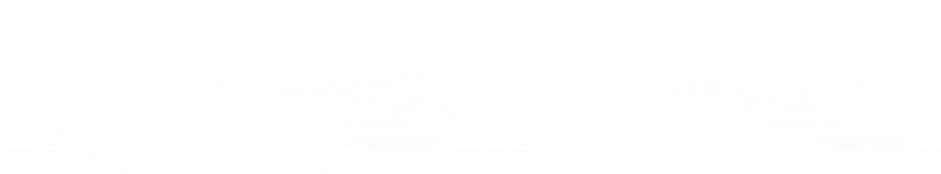 Didzis Kalniņš.gif