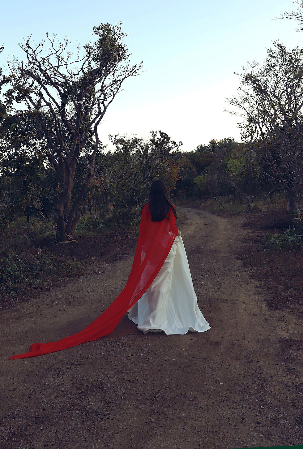 섬네일: LOOK009001