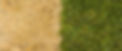 Restore-dead-grass.jpg