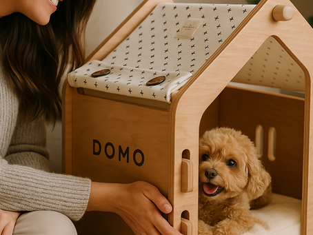 Casas Domo: El hogar moderno y ecológico que tu mascota merece