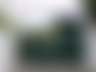 50 ans des Petites Sœurs des Pauvres au Congo en 2025 - Célébrations et Engagement