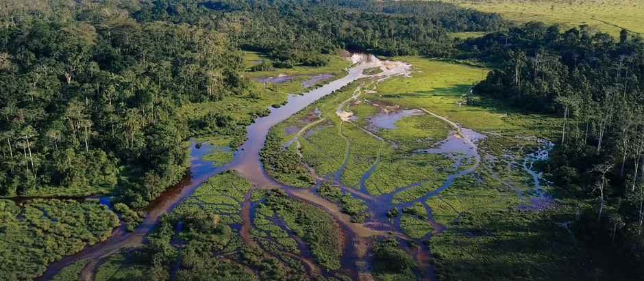 Le parc national Odzala-Kokoua en République du Congo, opéré par Kamba African Rainforest Experiences, figure parmi les "World's Greatest Places 2024" selon Time Magazine. Rodrigue Nguesso salue cette reconnaissance internationale d’un haut lieu de biodiversité.