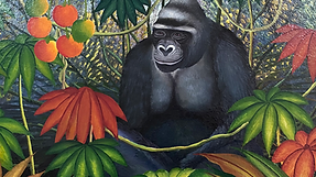 Rodrigue Nguesso parc Congo
