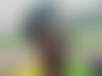 J.O de Paris : le Congo représenté par 4 athlètes