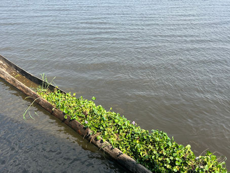 Rodrigue Nguesso le Congo Brazzaville terre de richesse