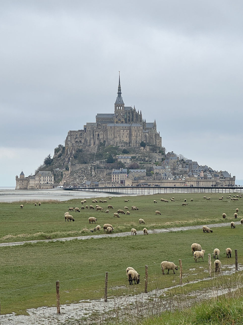 Miniature : RB 15 La Trans ARGOAT