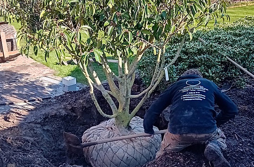 Tuinonderneming-Defour-Visie-1