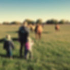 tedder family