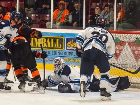 73's hold off Sharks
