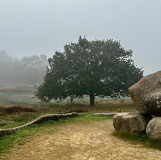 grafmonument op de Kampina