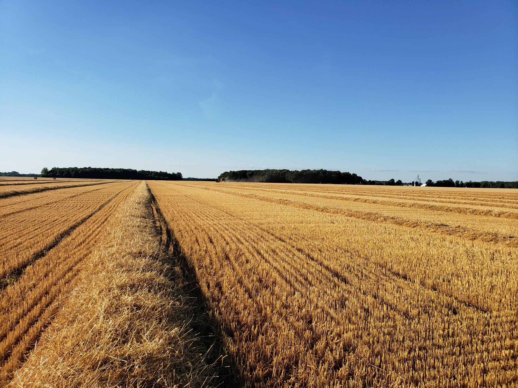 Home Keller Farms Supply