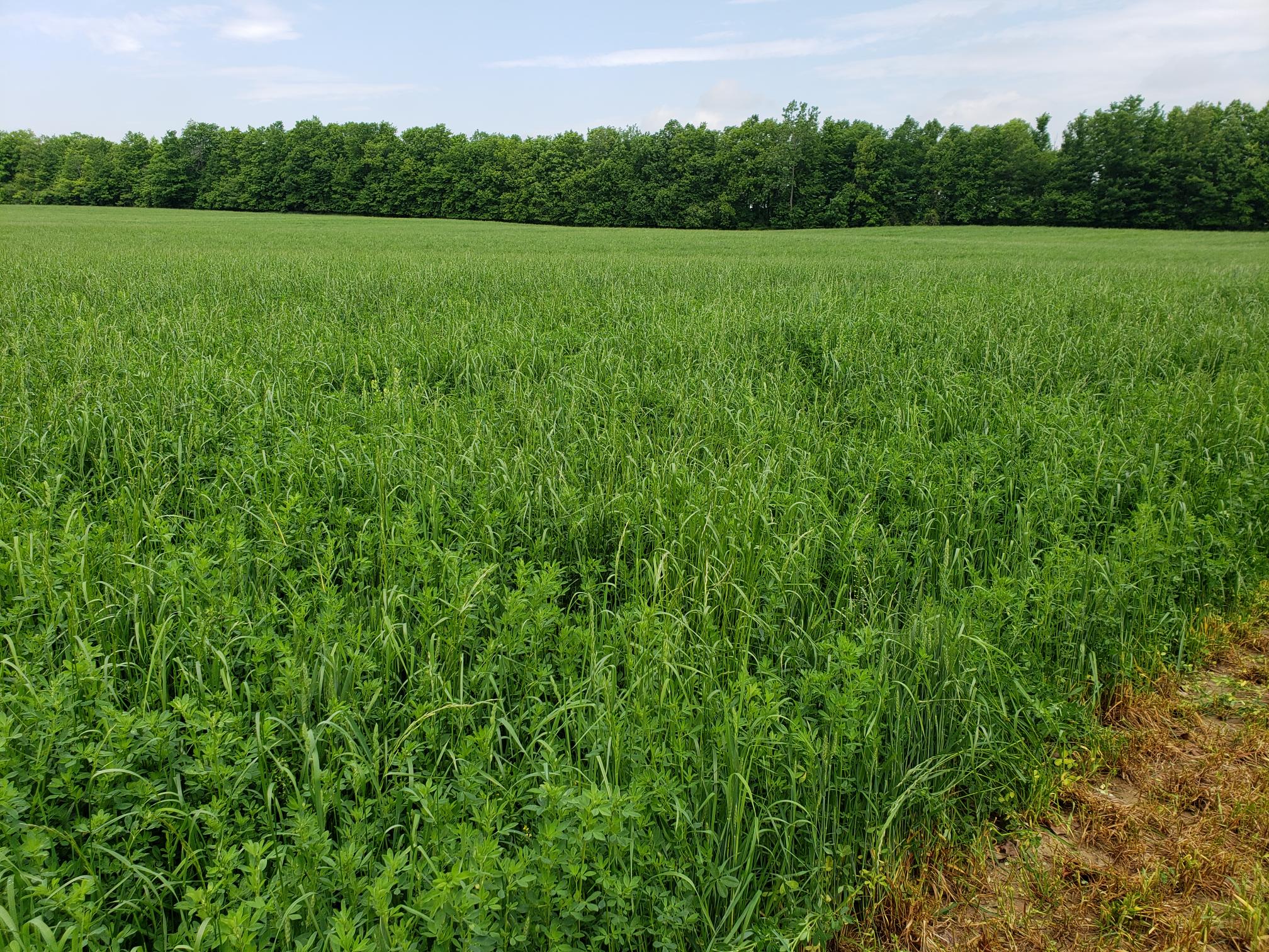 Home Keller Farms Supply