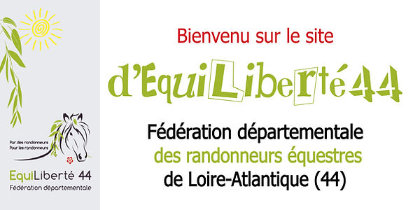 accueil.jpg