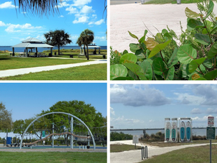 Explore the Beauty and Activities at Cypress Point Park in Tampa FL