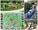 Explore Family Fun at Largo Central Park