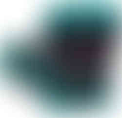 Funny Socks for Book Lovers