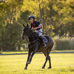 Afternoon chukkas on an Argentina polo vacation