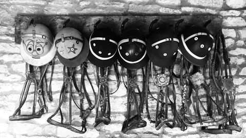 Polo helmets and bridles