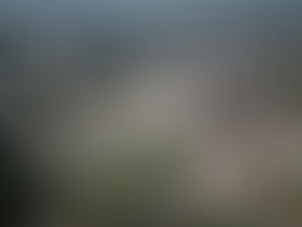 RDC : la stabilité macroéconomique est restée positive au cours de la première semaine de juillet (Gouverneure de la BCC)