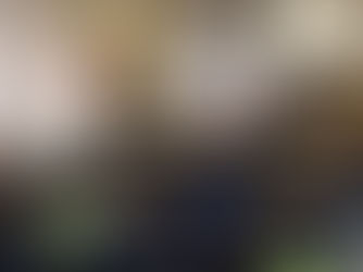 La protection et la valorisation des marques en RDC au cœur des échanges