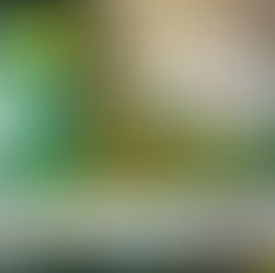 Retour sur la 2e Édition du Marché Agricole de Bilanga ya Betu, MAGRIC ByB