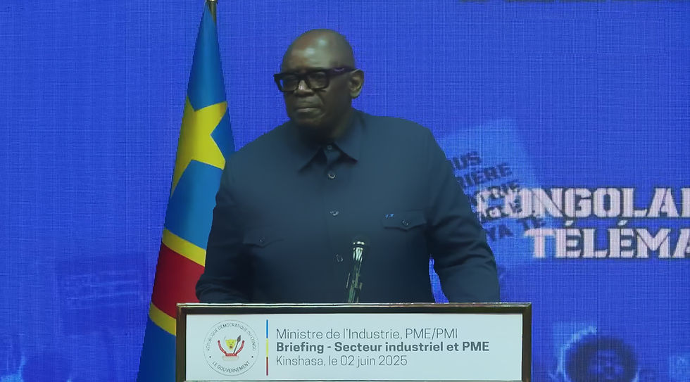 Watum Kabamba, ministre de l'Industrie et Développement des PME