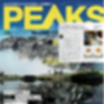 2020.6月号PEAKS