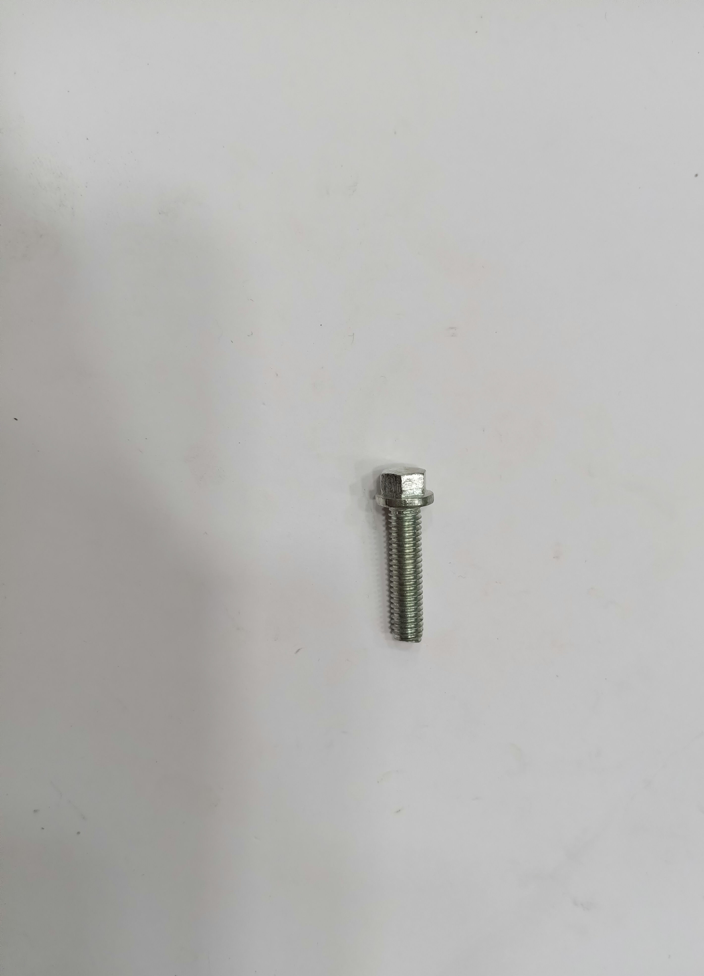 CHAIN COVER BOLT 