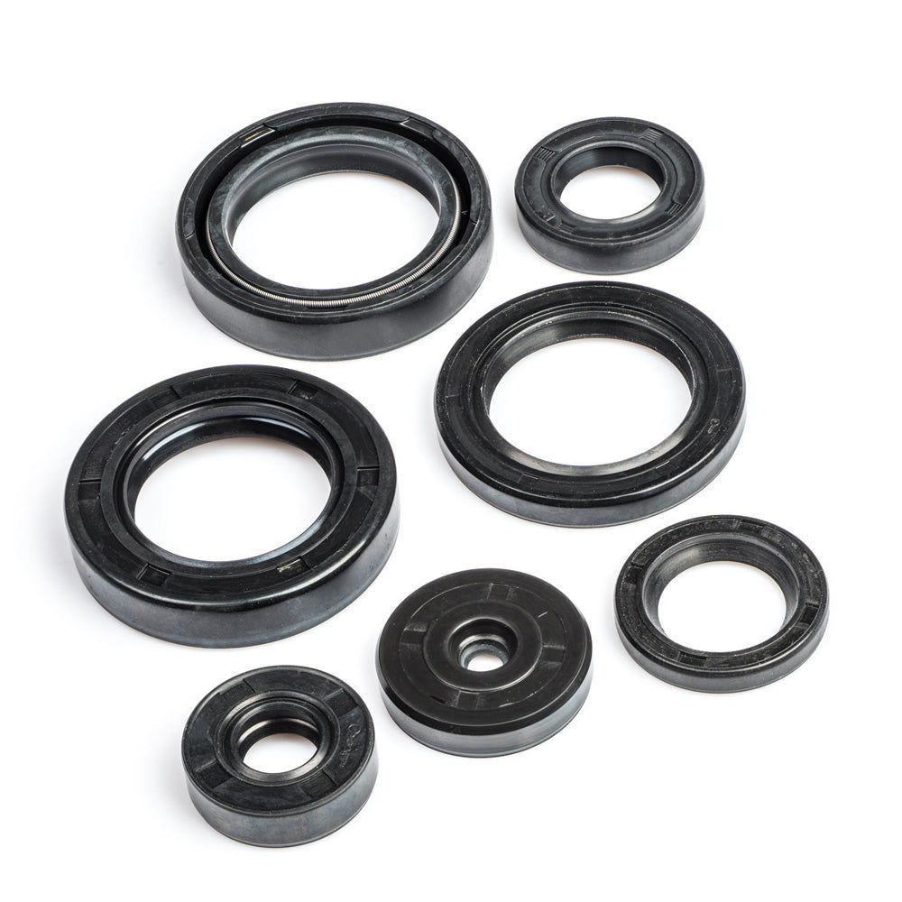 ACHIEVER OIL SEAL KIT