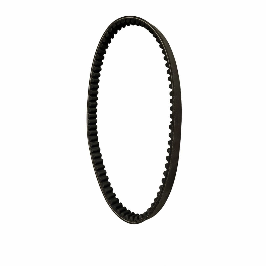 ACTIVA 6G V BELT