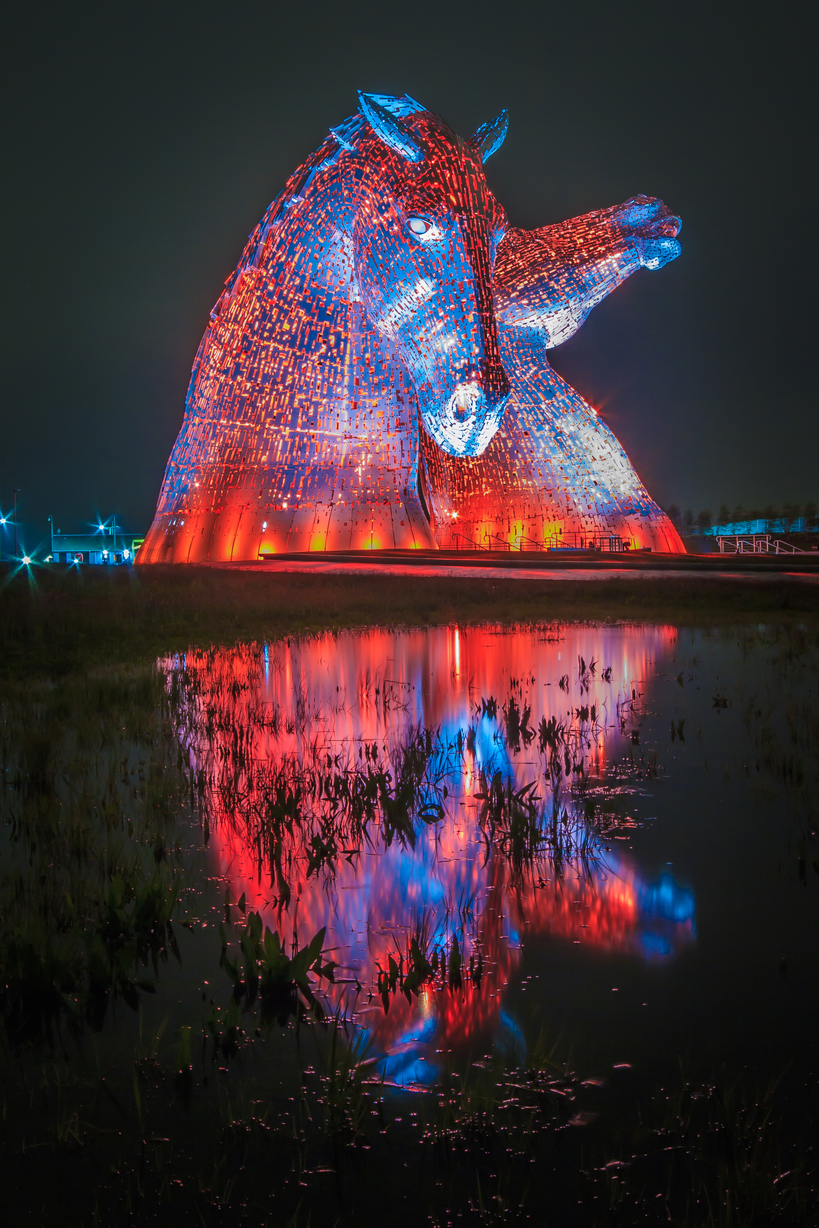 Red and Blue Kelpies K5